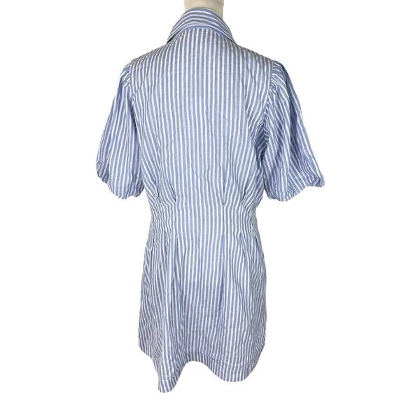 Caroline Constas Striped Blue White Shirt Dress 100% Cotton Size Large NEW - Picture 3 of 7